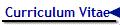 Curriculum Vitae
