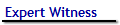 Expert Witness 
